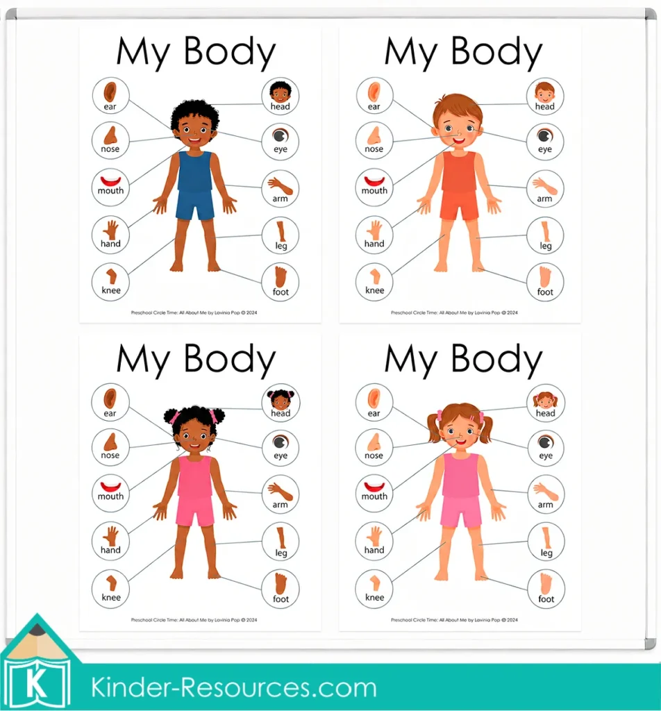 Set of four labeled My Body posters featuring boys and girls with different skin tones for teaching preschool body-part vocabulary.