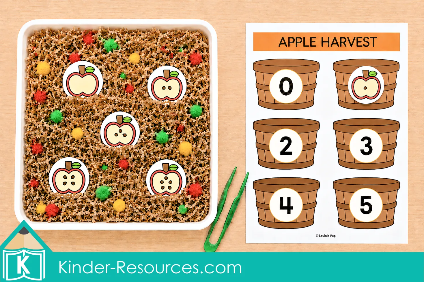 Counting seeds on apple cards and matching each quantity to the correct numbered apple basket in a preschool sensory bin activity.