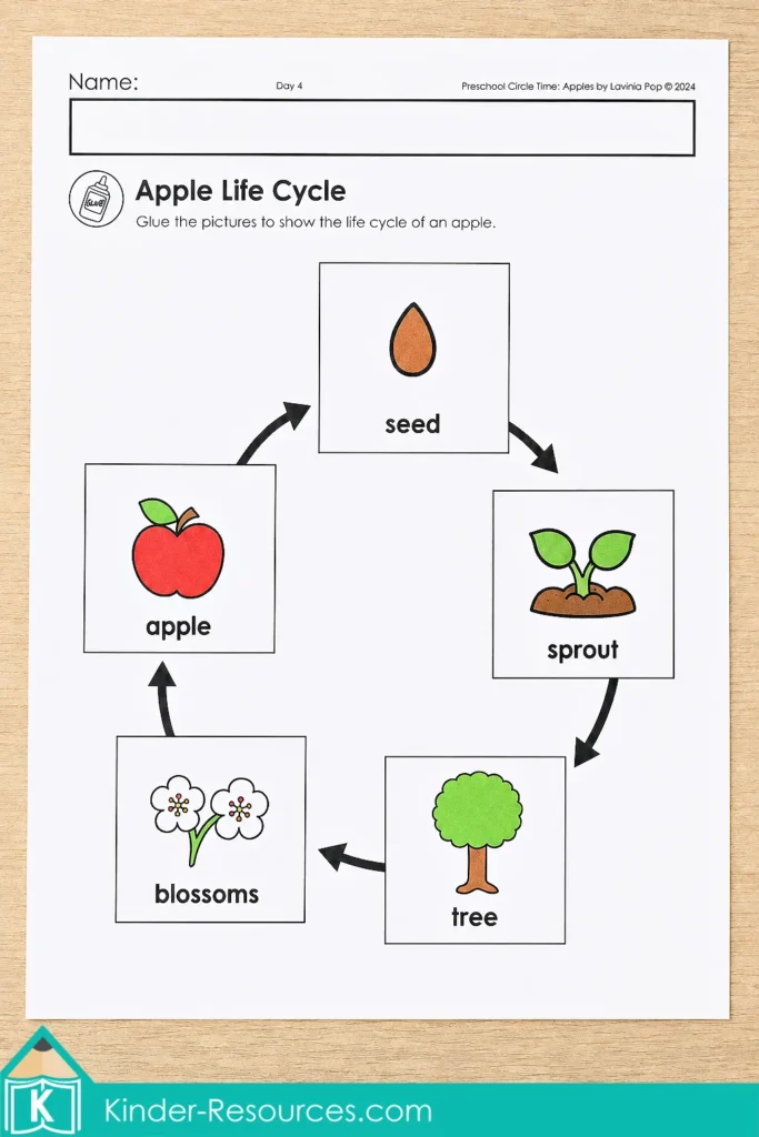 Apple life cycle cut-and-paste worksheet for preschool with seed, sprout, tree, blossoms and apple stages arranged in order.