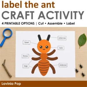 Cover of an ant printable craft activity showing an assembled ant labeled with its head, thorax, abdomen, antennae, legs, and eyes.