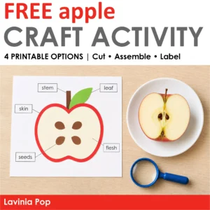 Free Apple Printable Craft Activity cover featuring a labeled paper apple, a real apple half, and a magnifying glass.