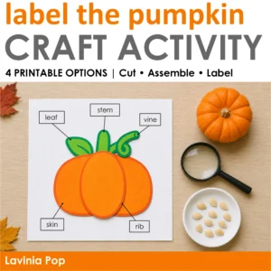 Pumpkin craft activity cover showing a completed paper pumpkin labeled leaf, stem, vine, skin, and rib beside a real pumpkin, magnifying glass, and pumpkin seeds.