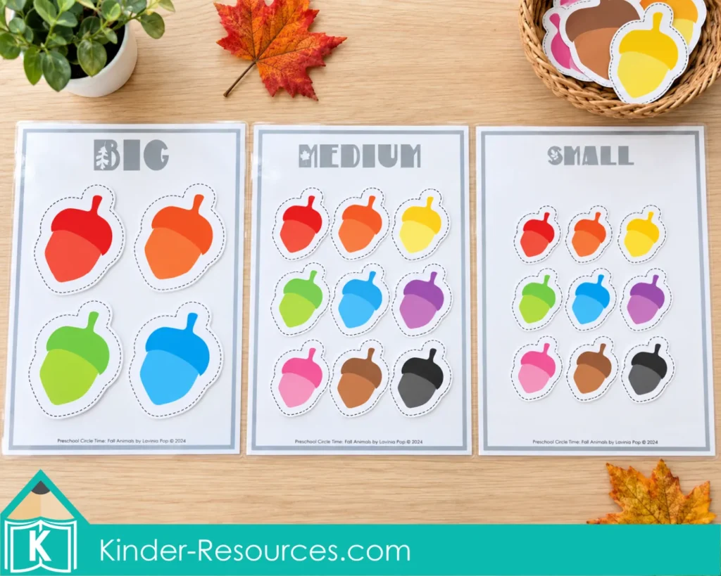Preschool size sorting activity with colorful acorn cutouts grouped on mats labeled big, medium and small.