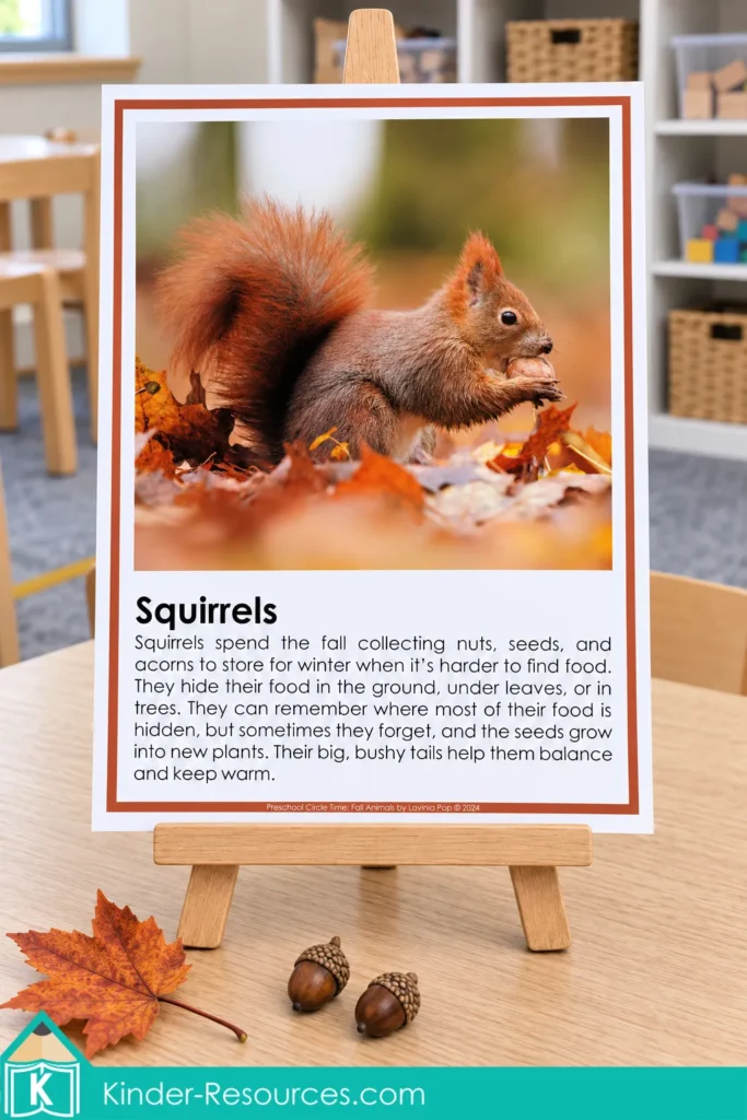 Preschool squirrel information poster with a red squirrel photograph and simple facts about collecting and storing food for winter.