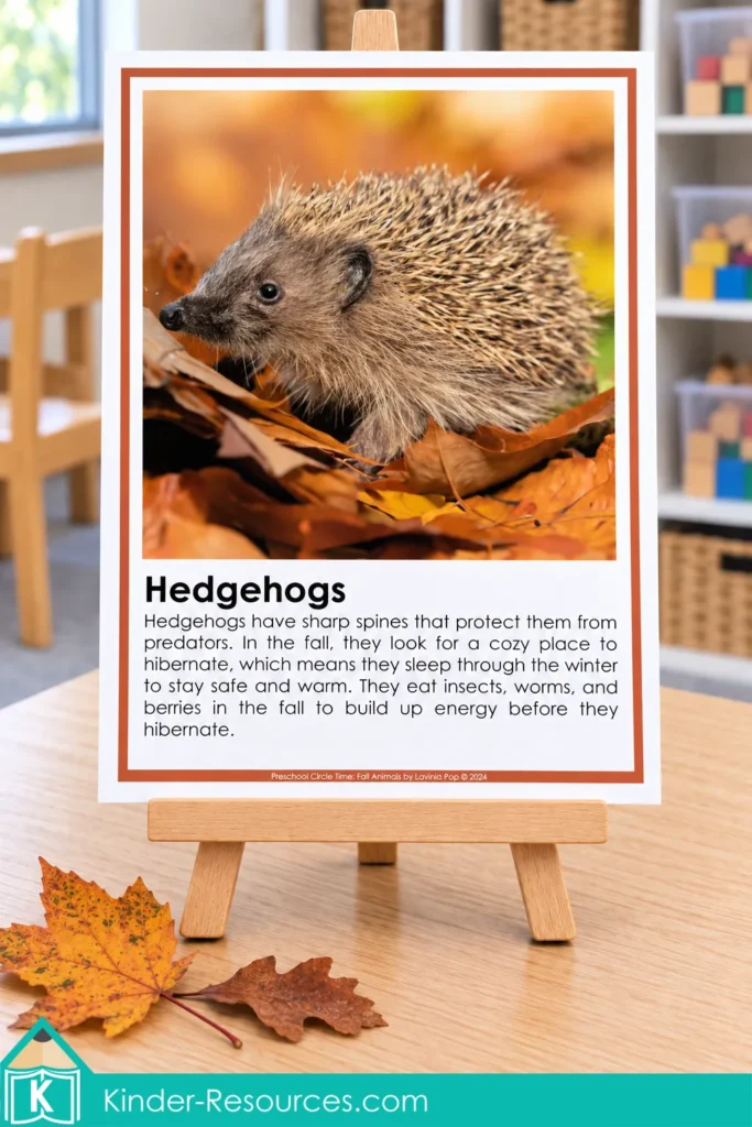 Preschool hedgehog information poster with a photograph among fall leaves and simple text about spines, food and winter hibernation.