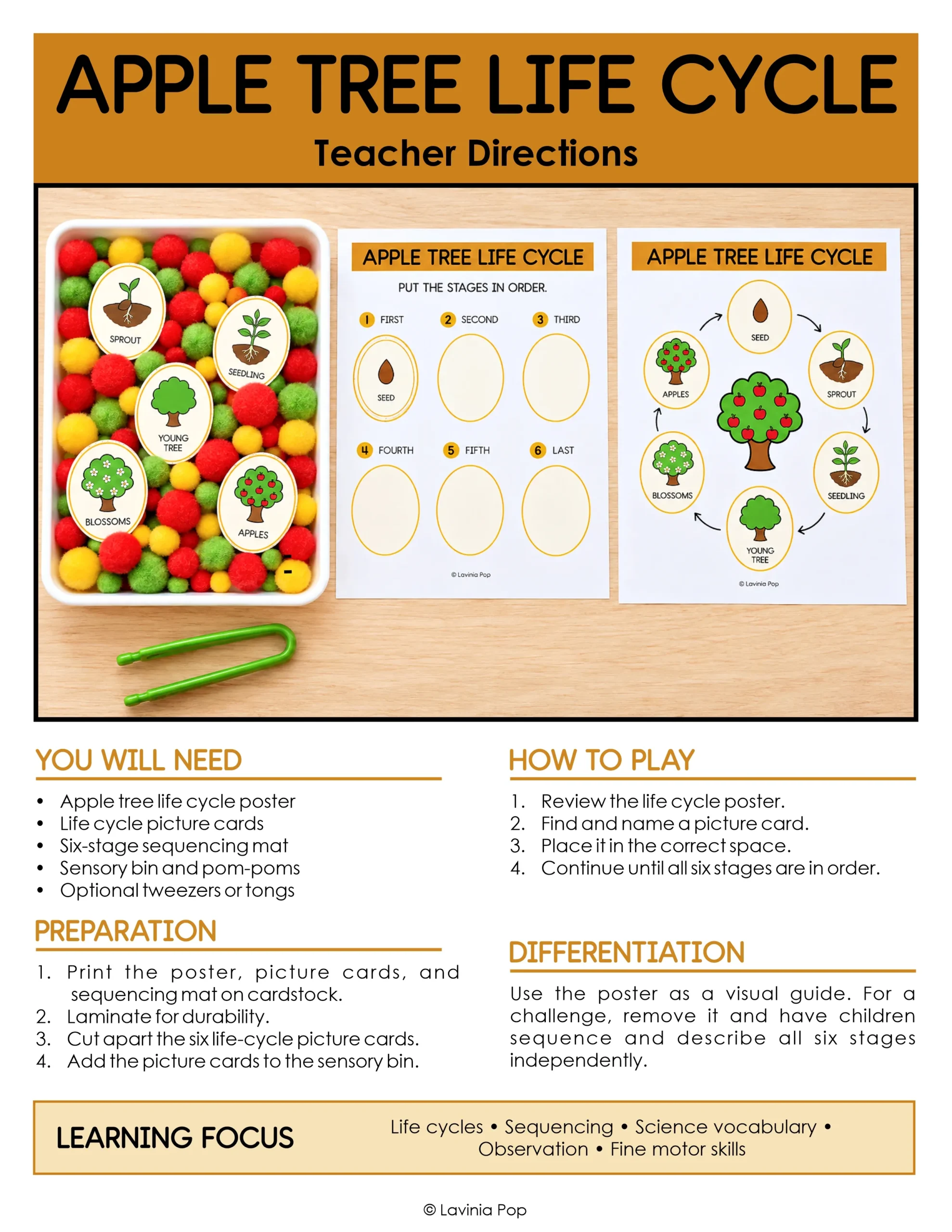 Apple life cycle sensory bin teacher directions with a setup photo, supply list, preparation steps, and ideas for different learning levels.