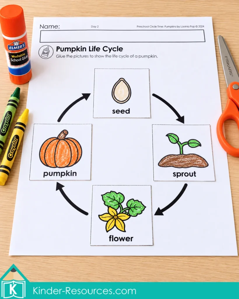 Pumpkin life cycle cut and paste worksheet for sequencing during pumpkin circle time activities for preschool.