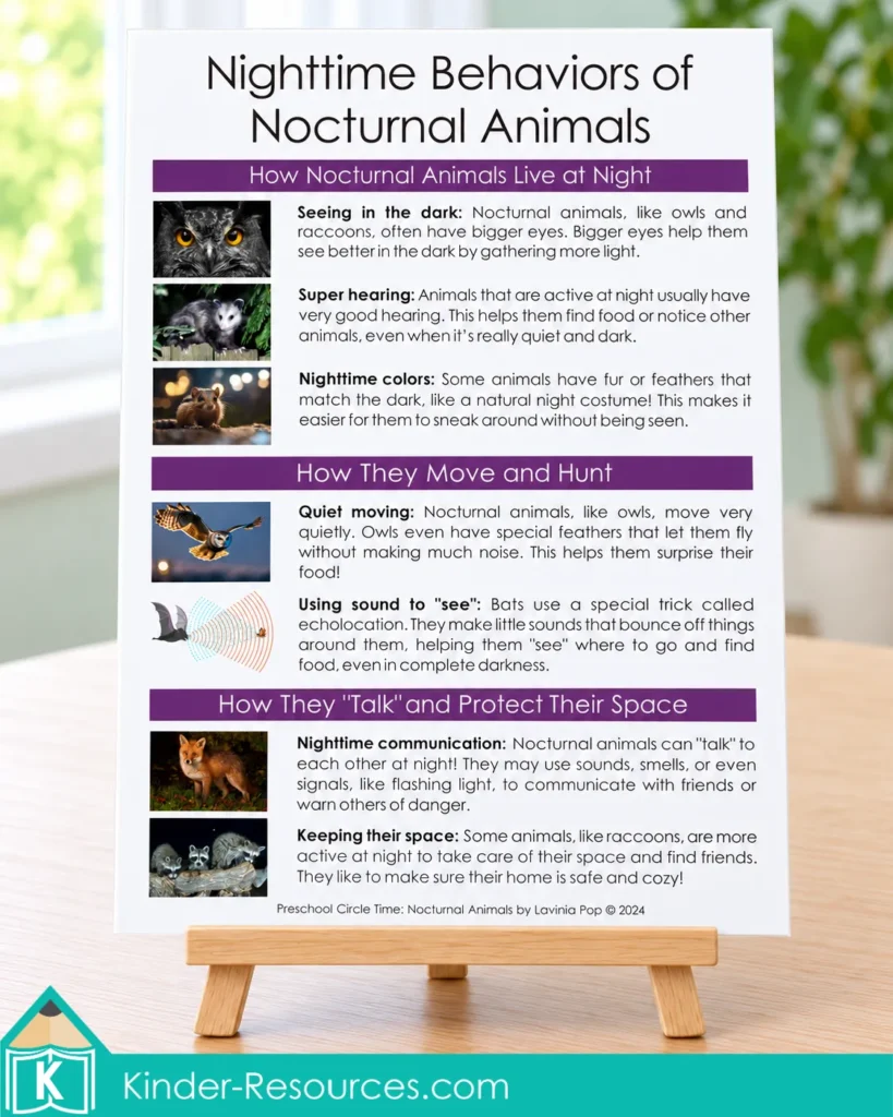 Nocturnal animal behavior poster with photos and explanations of nighttime senses, movement, hunting and communication.