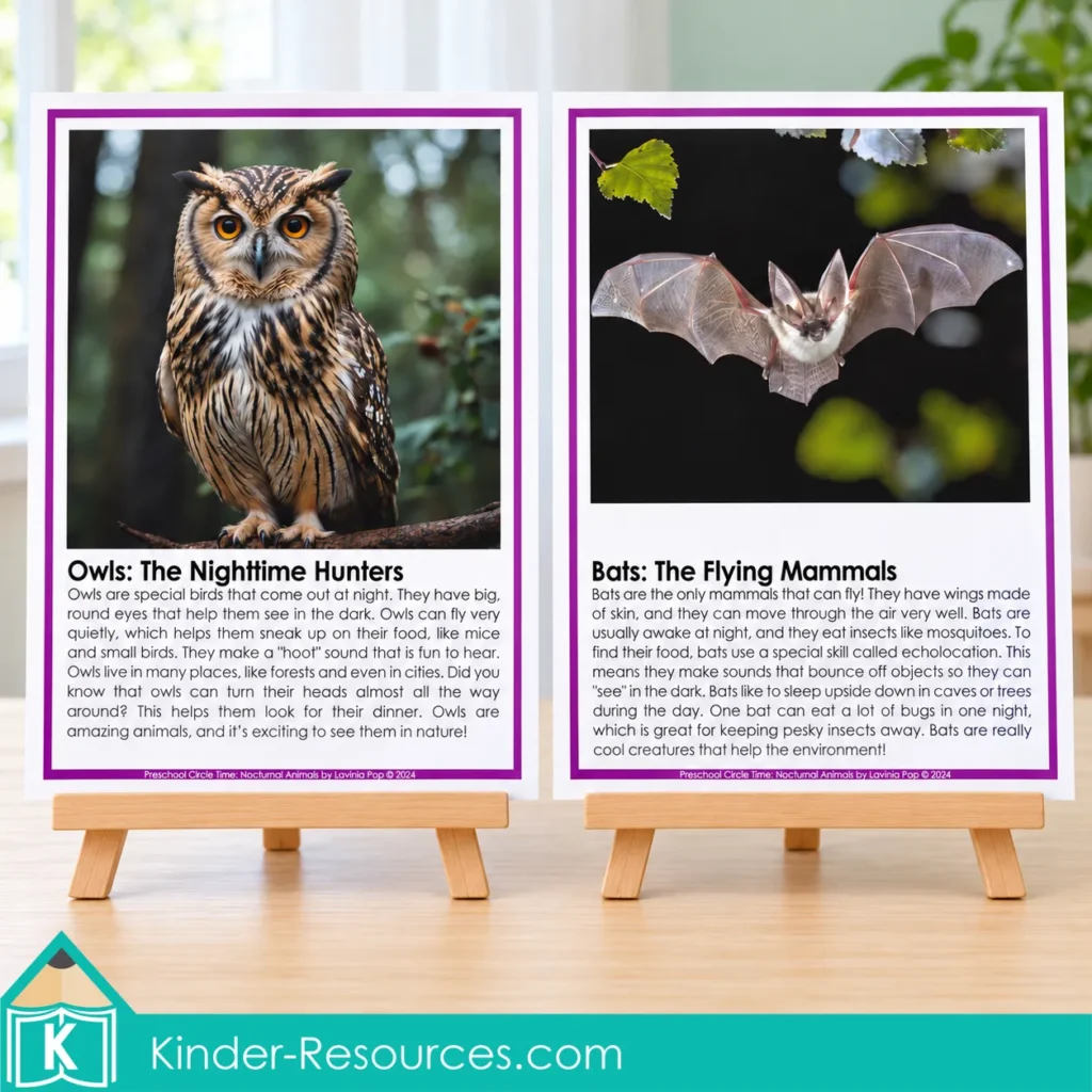 Owl and bat fact posters with large photographs and information about their nighttime habits, displayed on wooden easels.