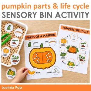 Pumpkin life cycle and parts matching mats with picture pieces, chickpeas, and tongs for preschool science.